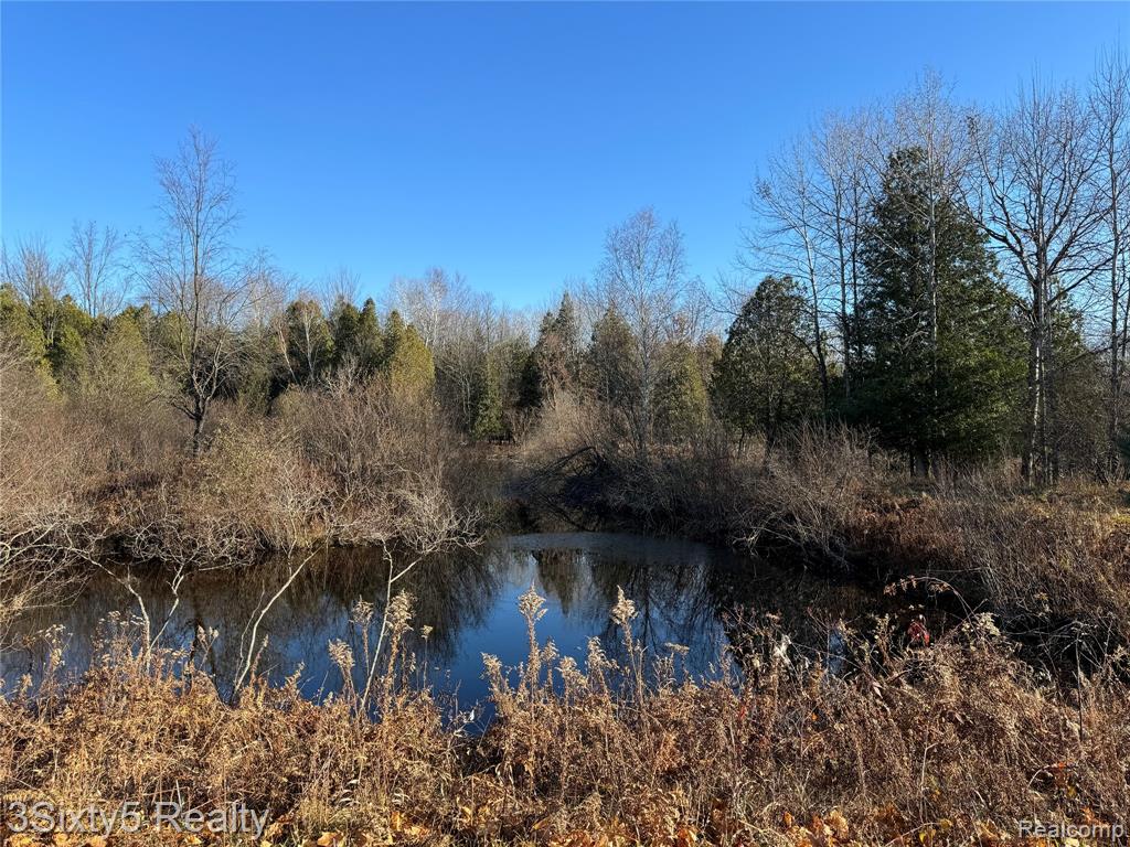 7710 10 Mile Road, Bitely, MI 49309 — Photo 5