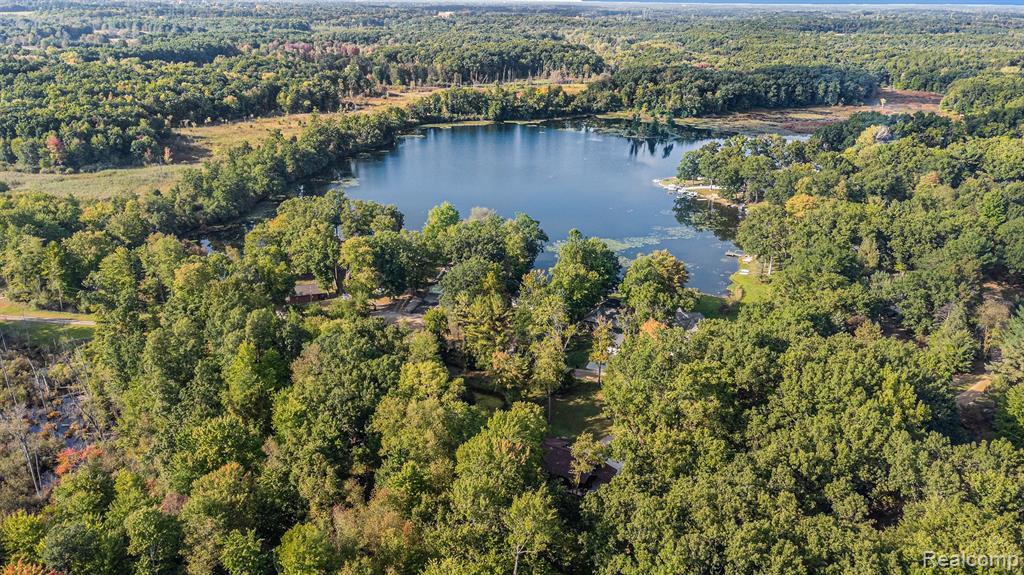 8630 HIDDEN LAKE Drive, Howell, MI 48855 — Photo 24