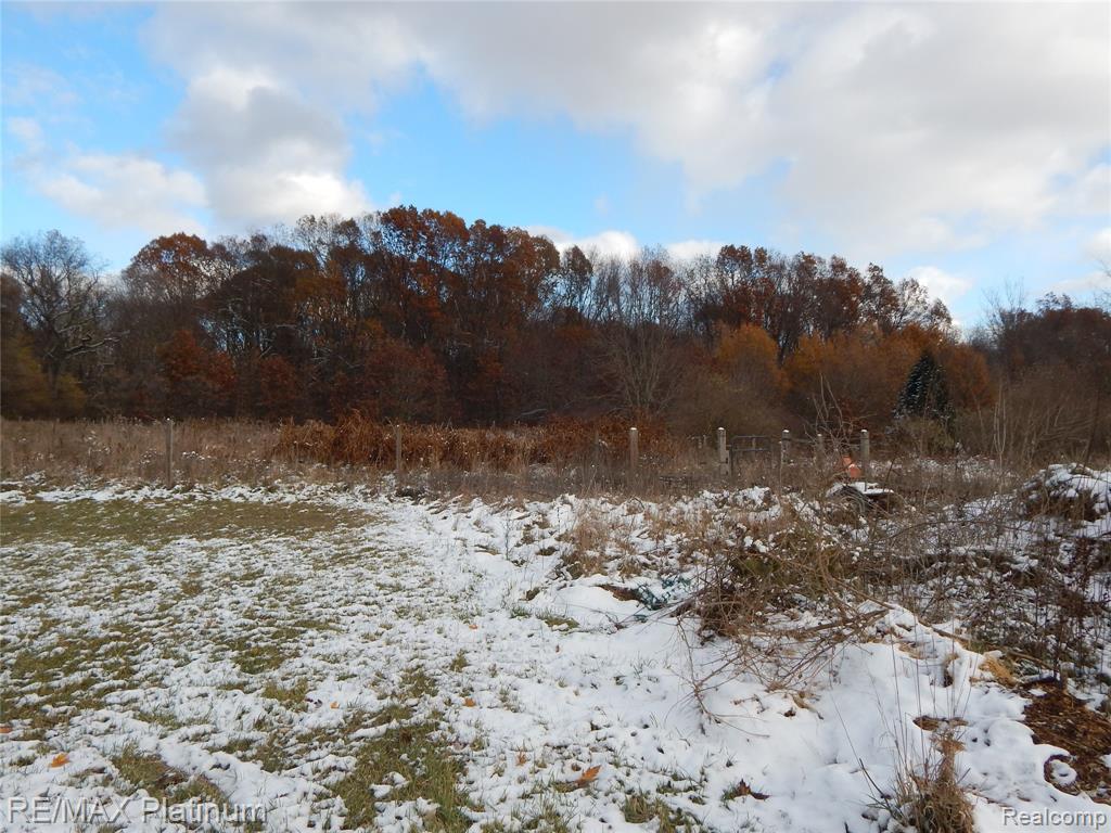 10321 E Lovejoy Road, Perry, MI 48872 — Photo 48