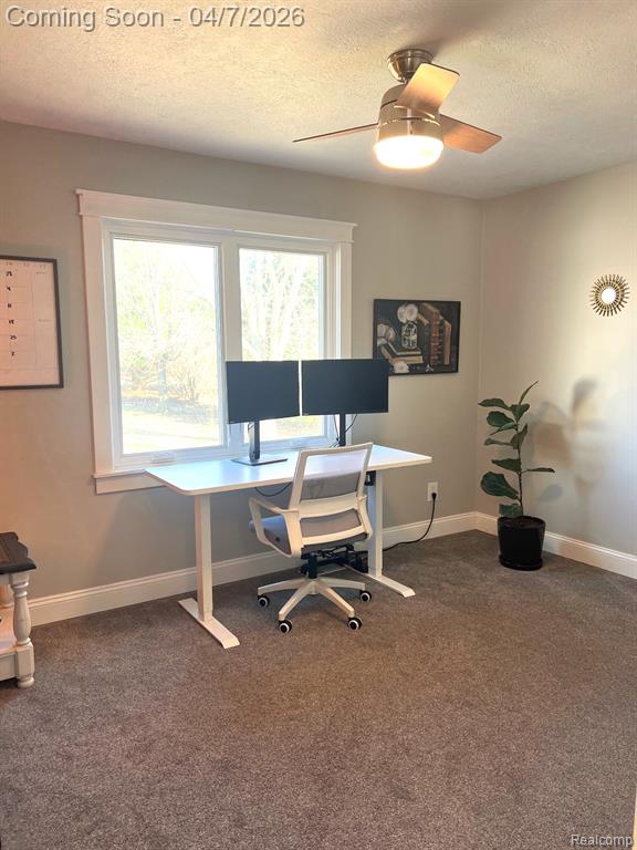 4740 S Francis Road, St. Johns, MI 48879 — Photo 18
