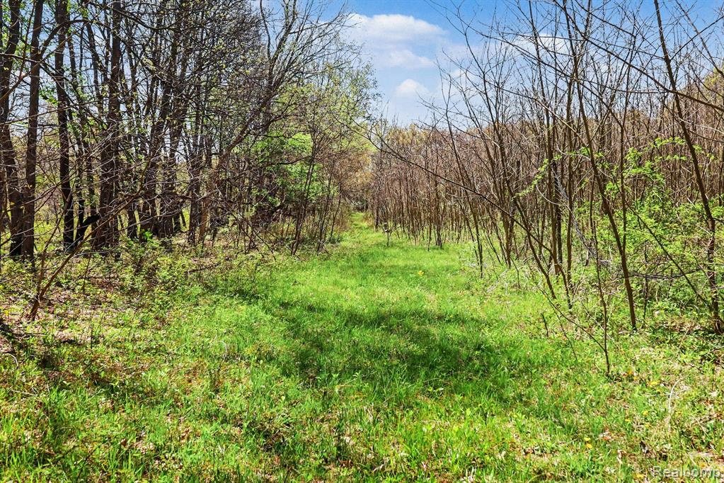 Parcel #3 Milford Rd, Holly, MI 48442 — Photo 7