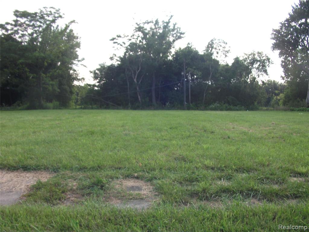 1131 NEWPORT - Photo 2