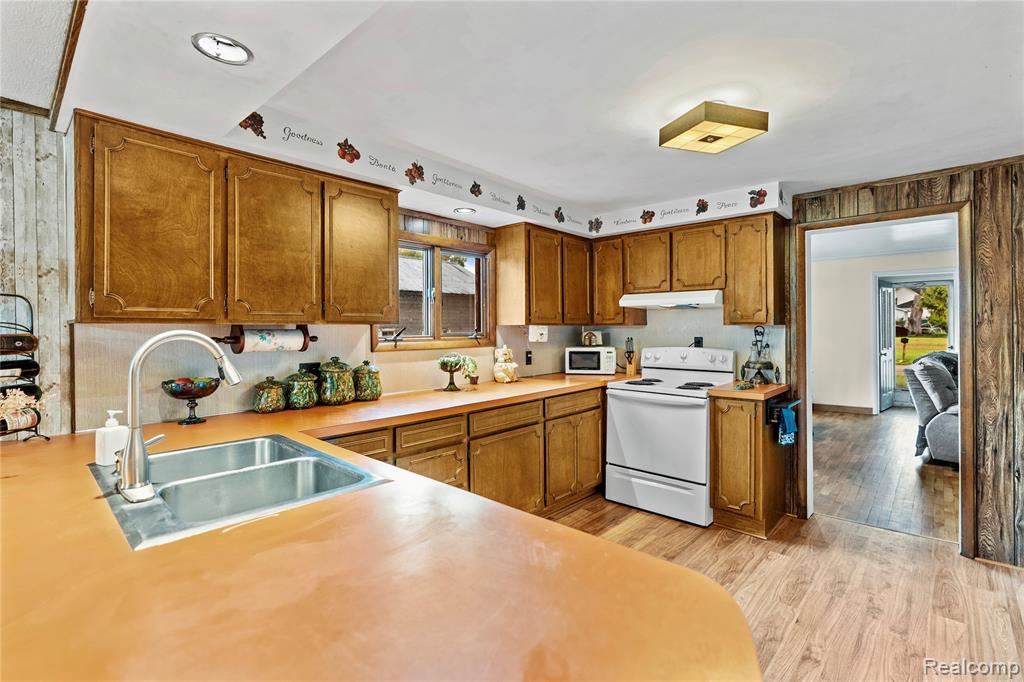 229 W Maple Street, Elsie, MI 48831 — Photo 3