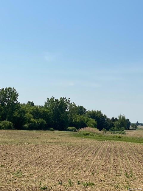 7451 Fostoria Road, Mayville Vlg, MI 48744 — Photo 17