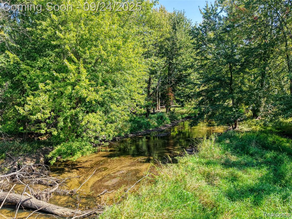 9511 W Allen Road, Fowlerville, MI 48836 — Photo 81