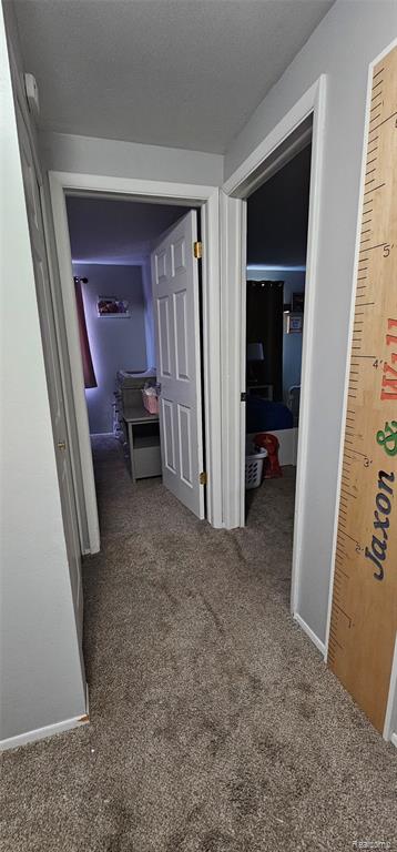 22308 Larch Street, Woodhaven, MI 48183 — Photo 17