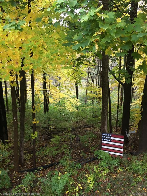 98 FOX HOLLOW Drive, Metamora, MI 48455 — Photo 49