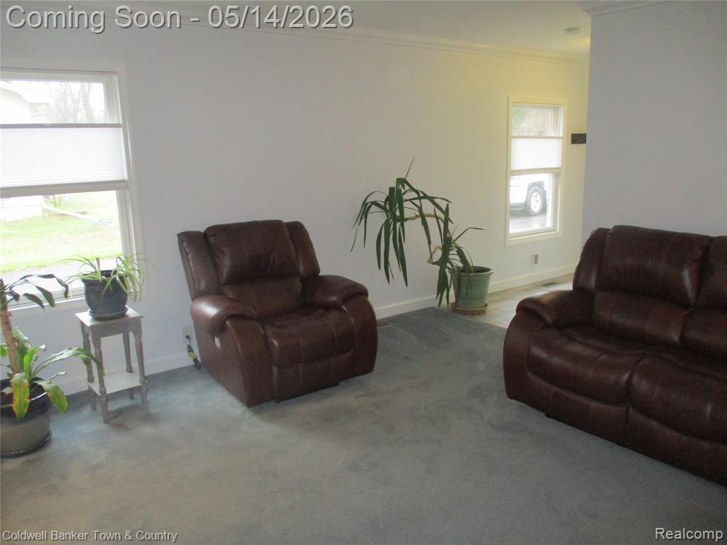 4610 Van Amberg Road, Brighton, MI 48114 — Photo 10