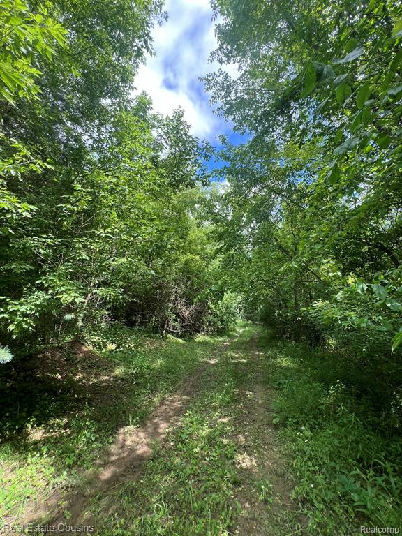 5440 Lobdell Road, Fenton, MI 48430 — Photo 6