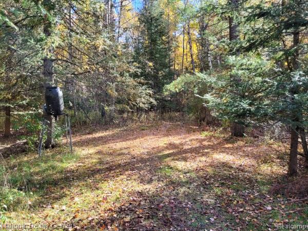8109 M 55, Whittemore, MI 48770 — Photo 7