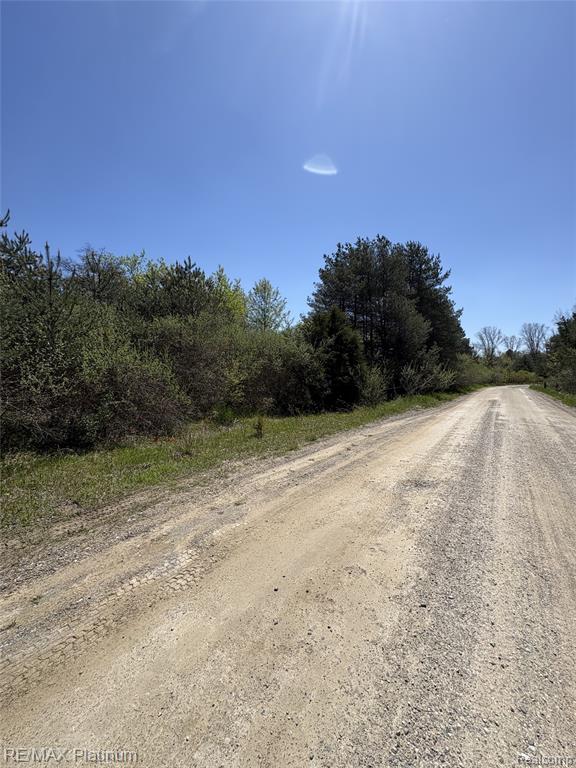 Parcel 5 Fisher Road, Howell, MI 48855 — Photo 4