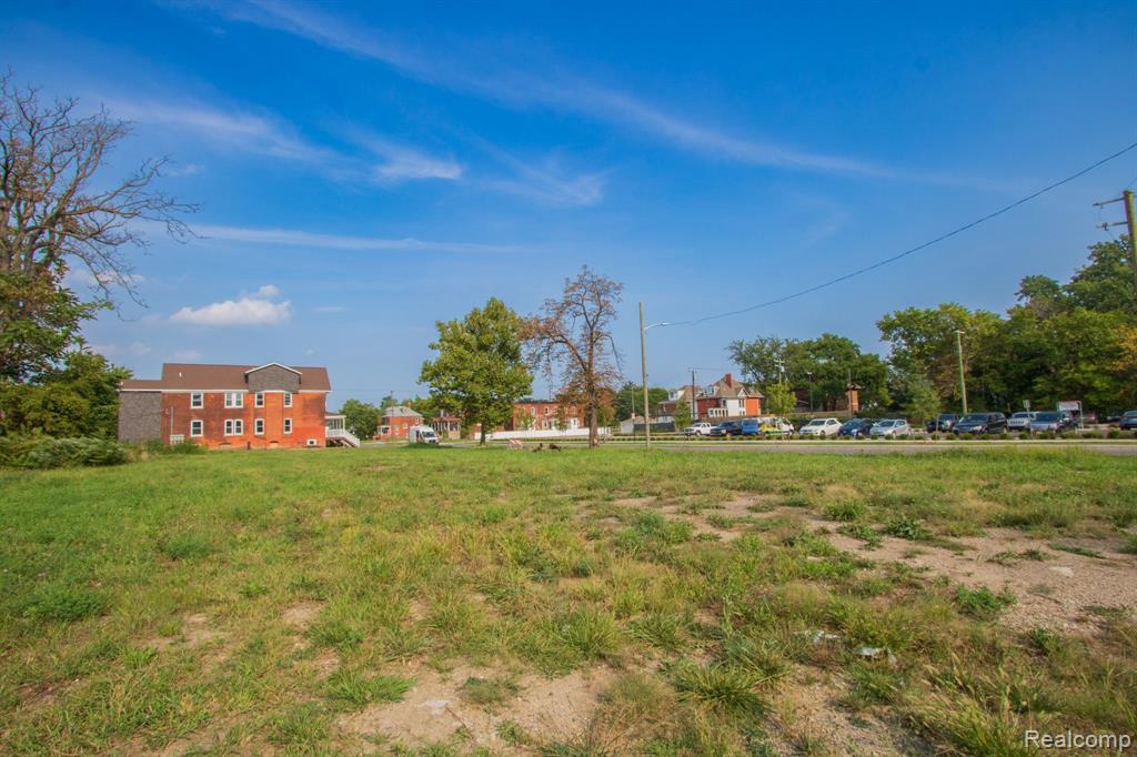 45 E EUCLID Street, Detroit, MI 48202 — Photo 6