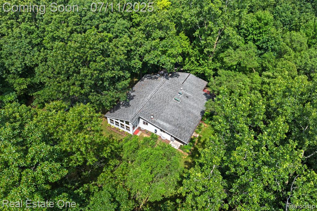 4217 Link Avenue, Brighton, MI 48114 — Photo 42