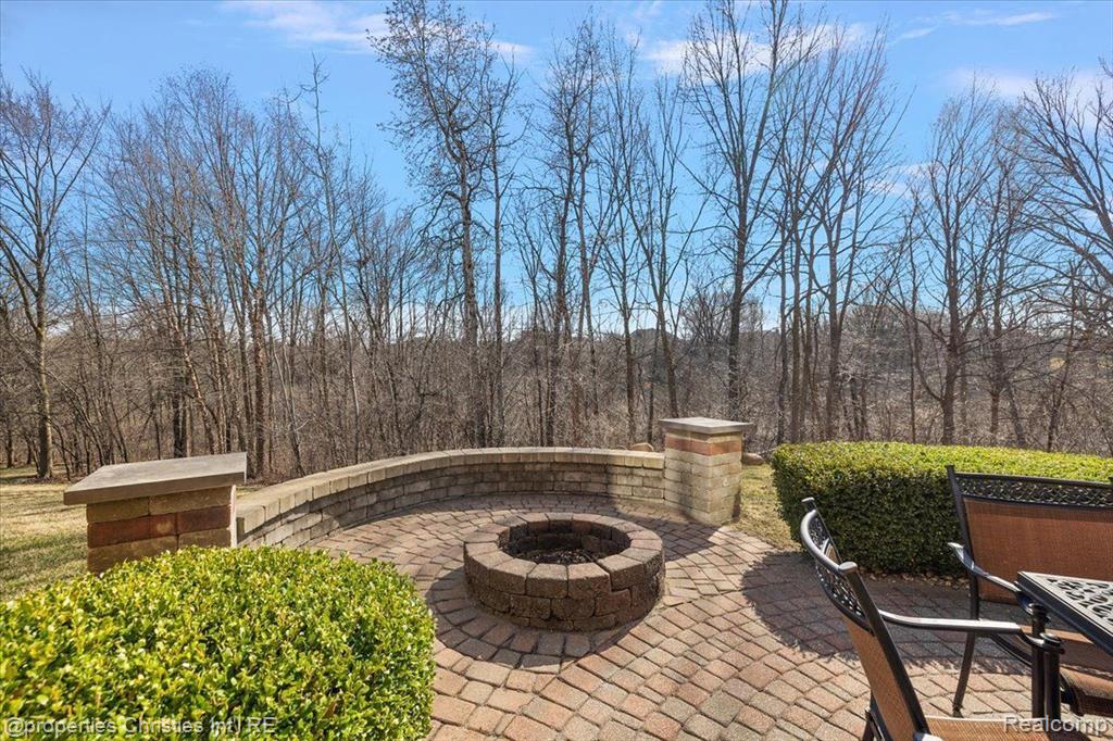 50367 Teton Ridge Road, Northville, MI 48168 — Photo 3