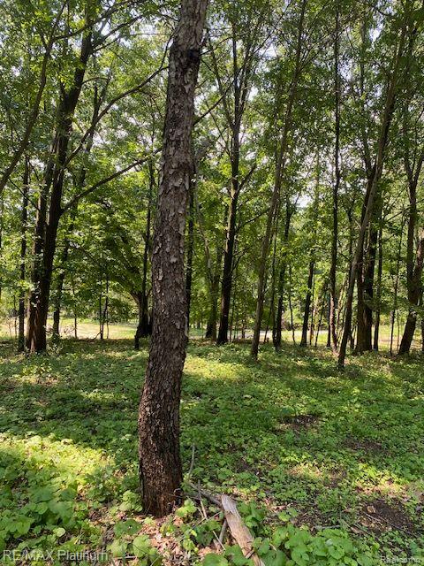 8 Sleaford-Parcel 8 - 2.12 Acres Road, Howell, MI 48843 — Photo 22