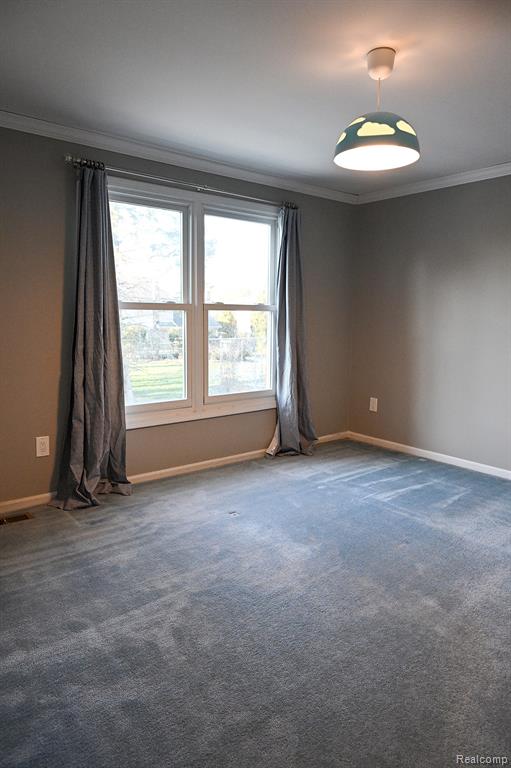 4427 Cahill Drive, Troy, MI 48098 — Photo 19