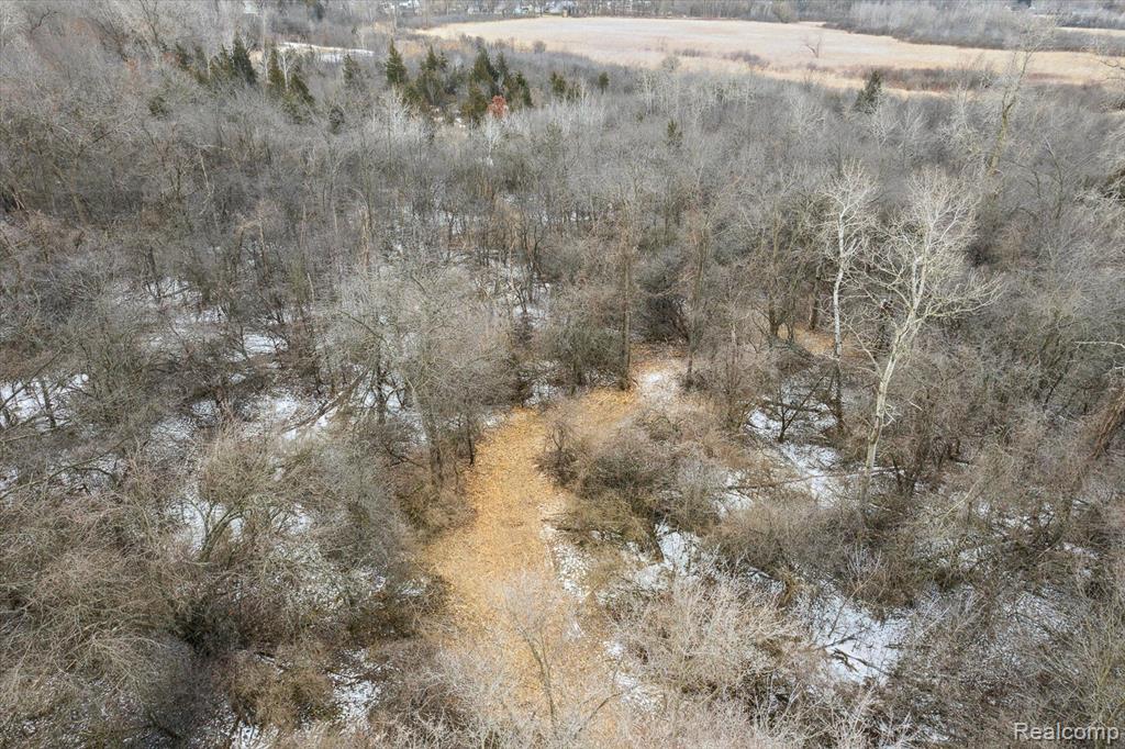V/L BLAKE Road, Jackson, MI 49201 — Photo 48
