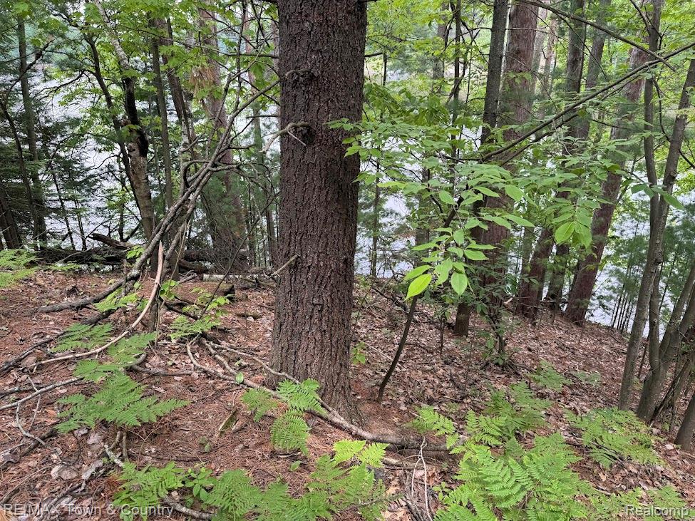 6450 Otter Trail Road, Alger, MI 48610 — Photo 12