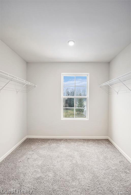 7305 RED MAPLE Drive, Mount Morris, MI 48458 — Photo 15