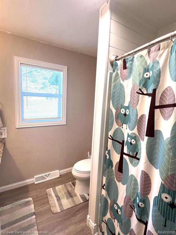 631 Madison Street N, Perry, MI 48872 — Photo 12