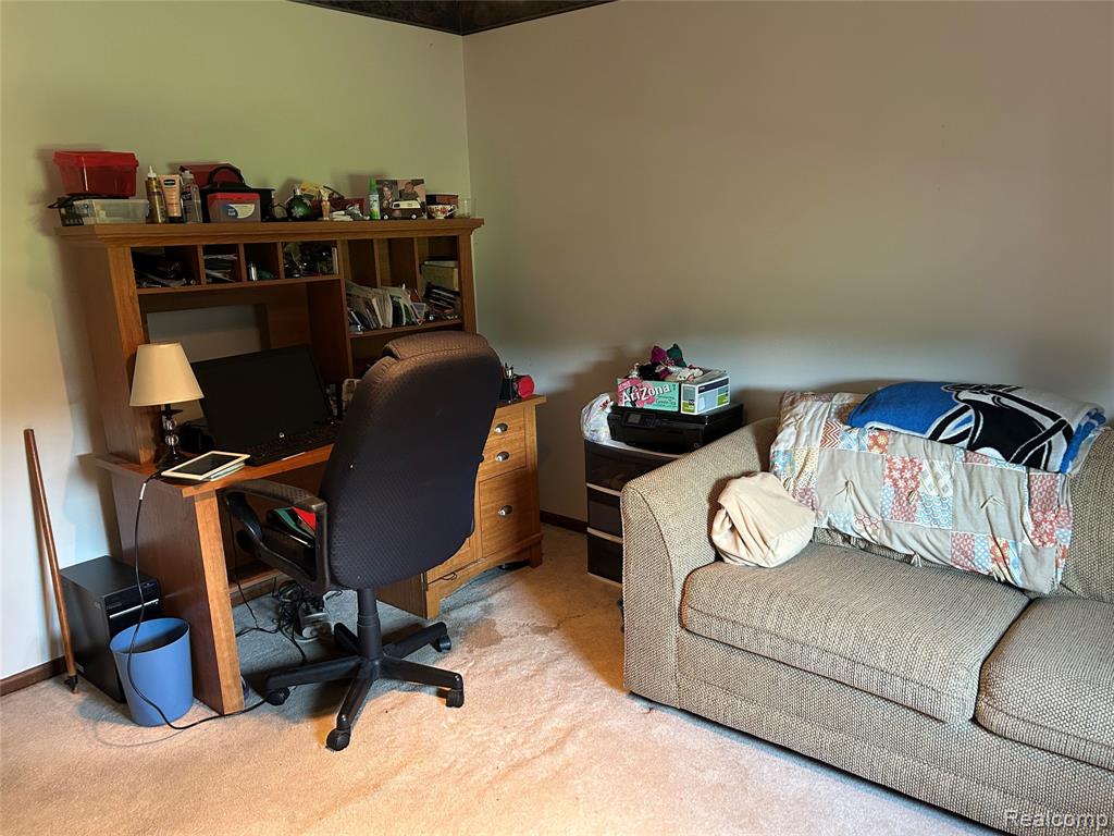 4420 Five Lakes Road, North Branch, MI 48461 — Photo 14