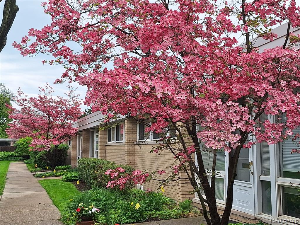 1512 Chateaufort Place, Detroit, MI 48207 — Photo 2