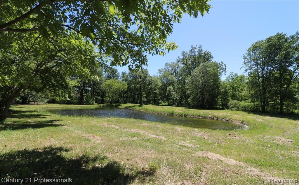 VACANT LAND Nicholson Road, Handy, MI 48836 — Photo 5