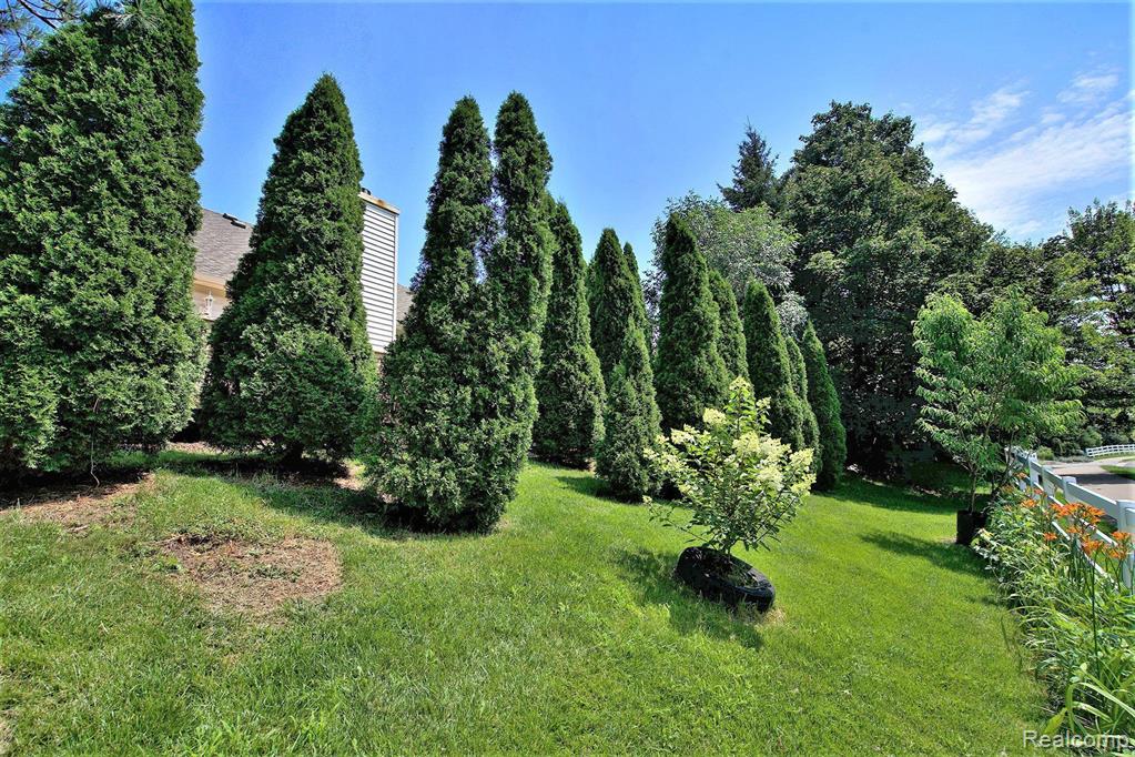 3381 CROMWELL Road, Ann Arbor, MI 48105 — Photo 33