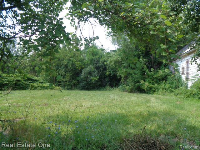 2526 W Forest Avenue, Detroit, MI, 48208