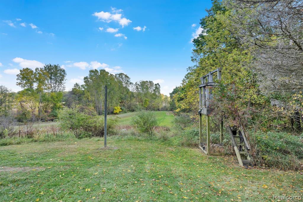 14269 Cole Road, Linden, MI 48451 — Photo 43