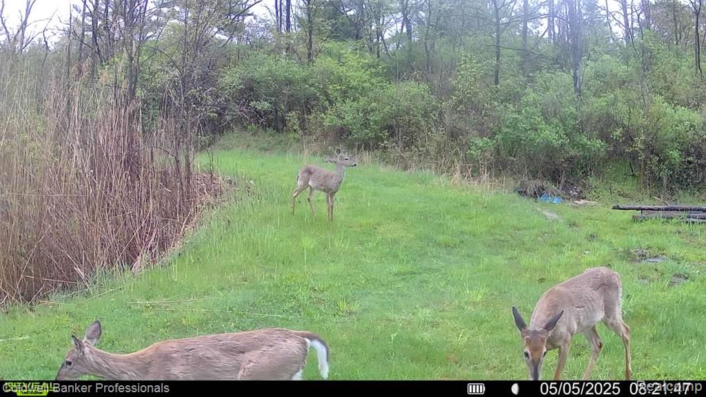 VL Rattle Run Road, St. Clair, MI 48079 — Photo 35