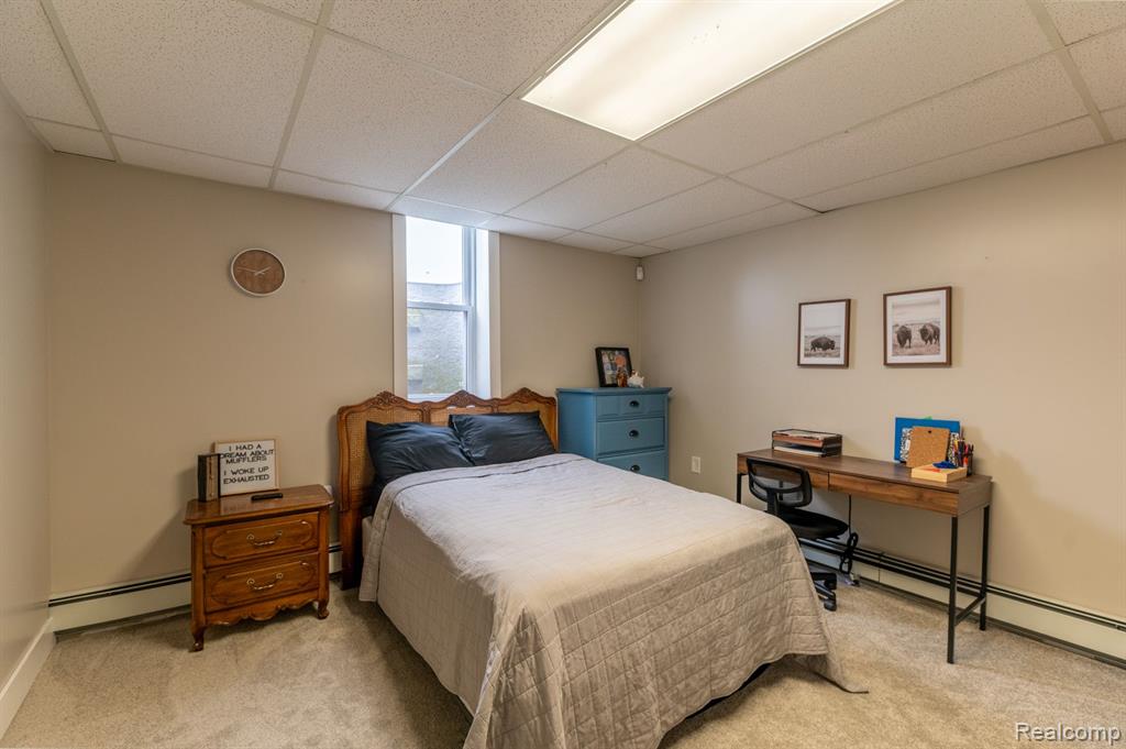 5373 MERTZ Road, Mayville Vlg, MI 48744 — Photo 19