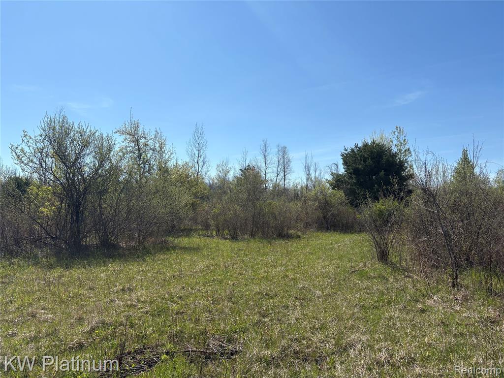 Parcel C Wicha Drive, Burtchville, MI 48059 — front exterior