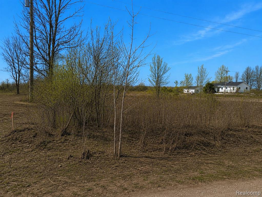 2969 Reeves Road, Riley, MI