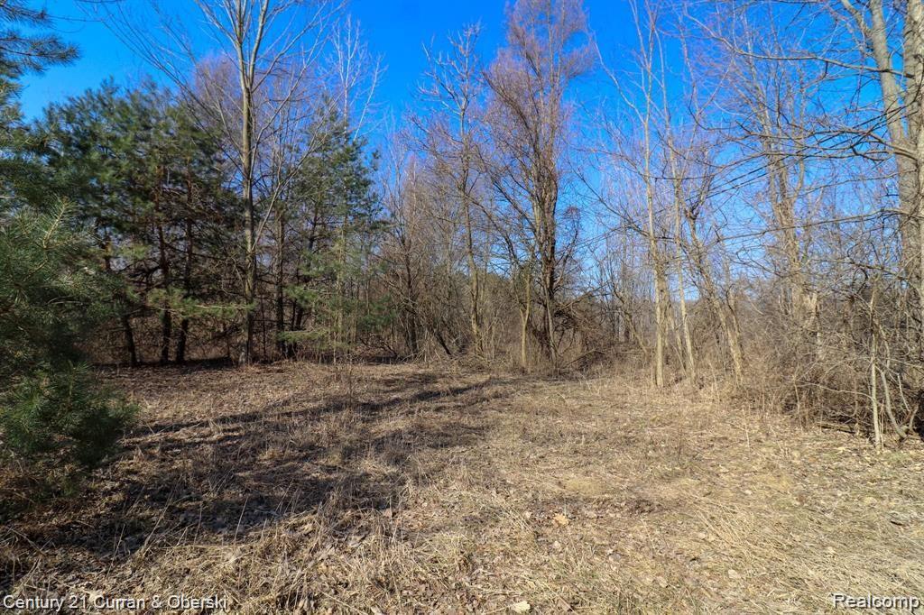 7442 Six Mile Rd, Northville, MI 48167 — Photo 7