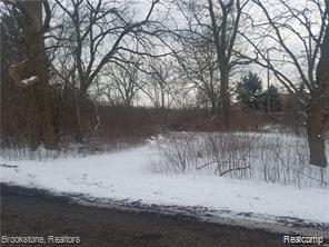 S Pemberton Lot 20, Bloomfield Hills, MI 48302 — Photo 3