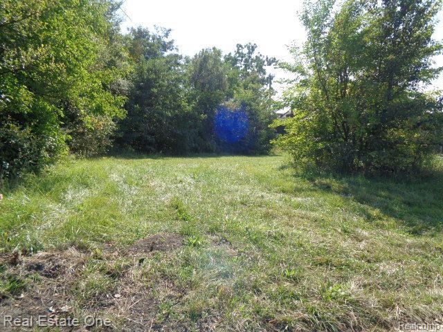 416 HARPER Avenue, Detroit, MI 48202 — Photo 3