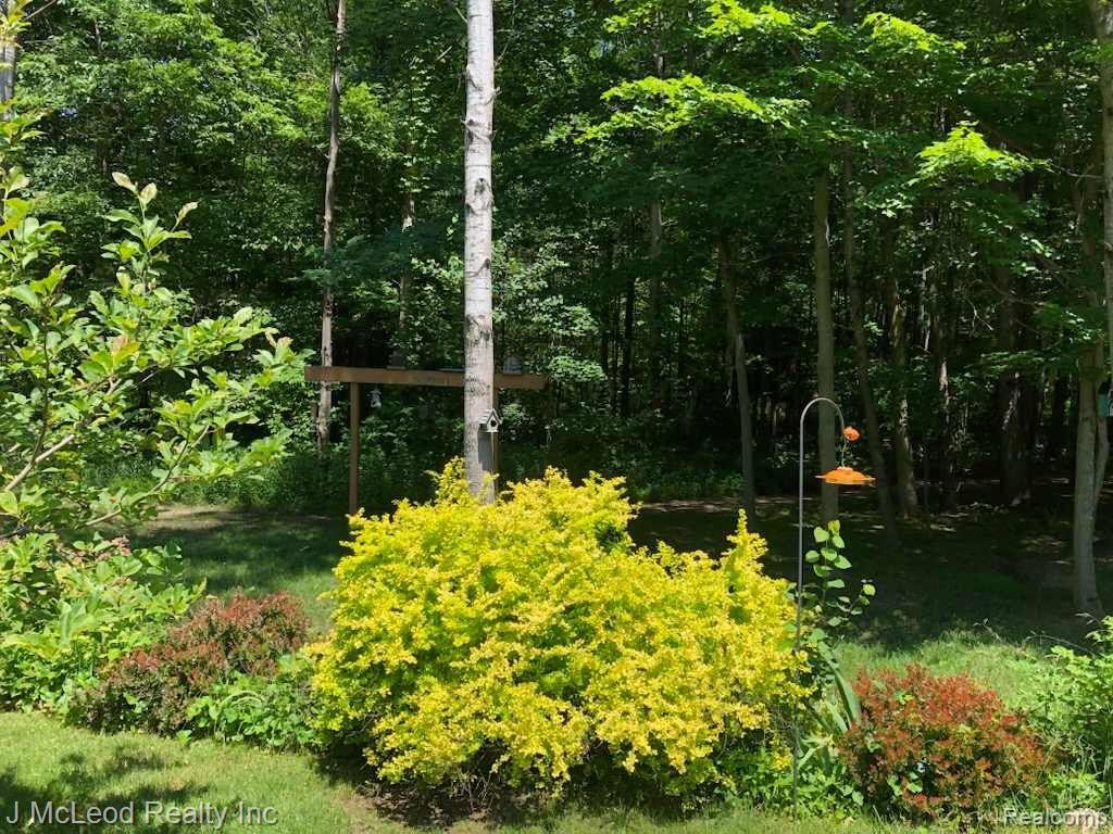 6939 TWIN CREEK Drive, Millington, MI 48746 — Photo 81