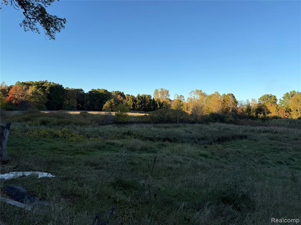 17241 Lands End, Chelsea, MI 48118 — Photo 8