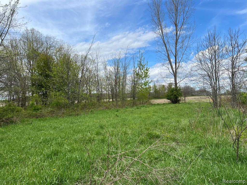 2385 Barnes Road, North Branch, MI 48461 — Photo 30