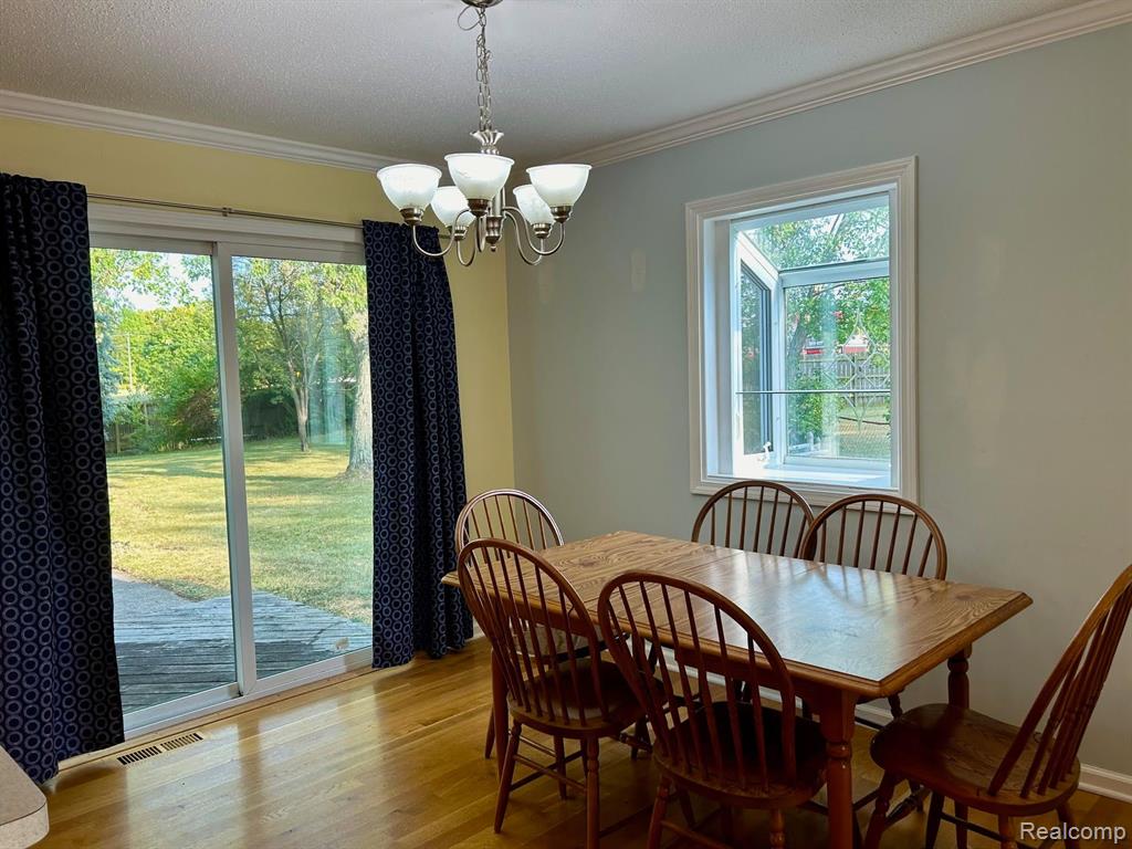 413 MARION, Clinton, MI 49236 — Photo 8