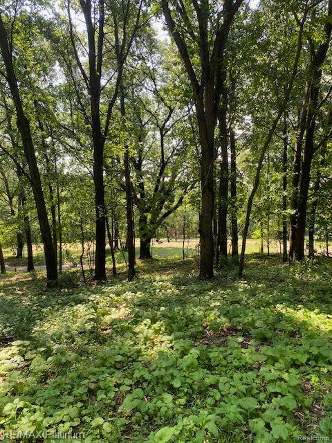 6 Sleaford-Parcel 6 - 2.1 Acres Road, Howell, MI 48843 — Photo 18