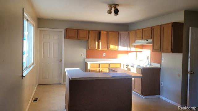 985 Fairledge Street, Lake Orion, MI 48362 — Photo 6