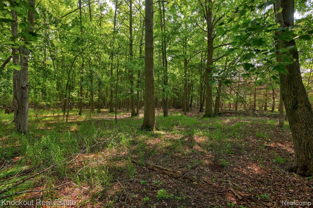 5741 S Merrill Road, Merrill, MI 48637 — Photo 27