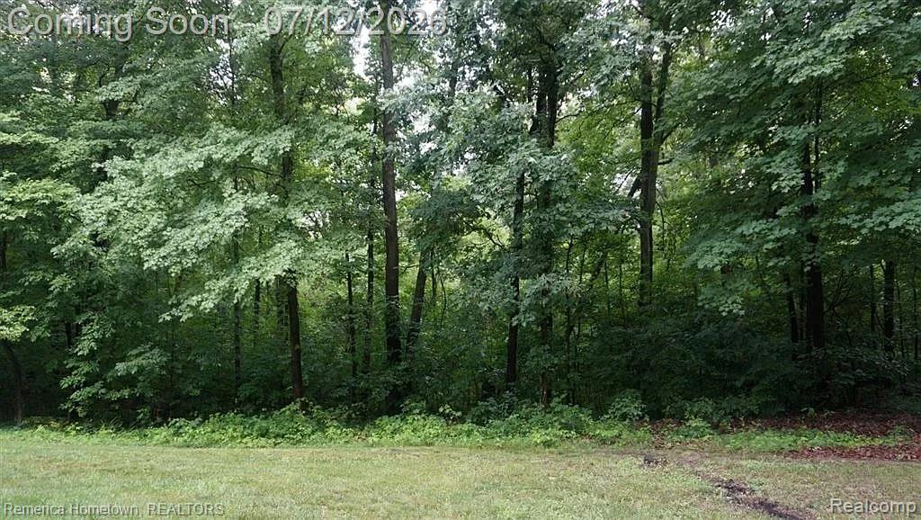 11975 Cody Creek Court, South Lyon, MI 48178 — Photo 32