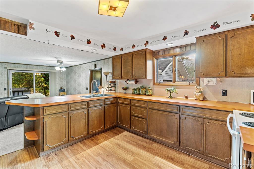 229 W Maple Street, Elsie, MI 48831 — Photo 5