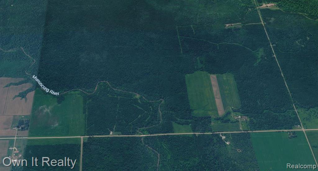 0000 E Townline Road - Photo 4