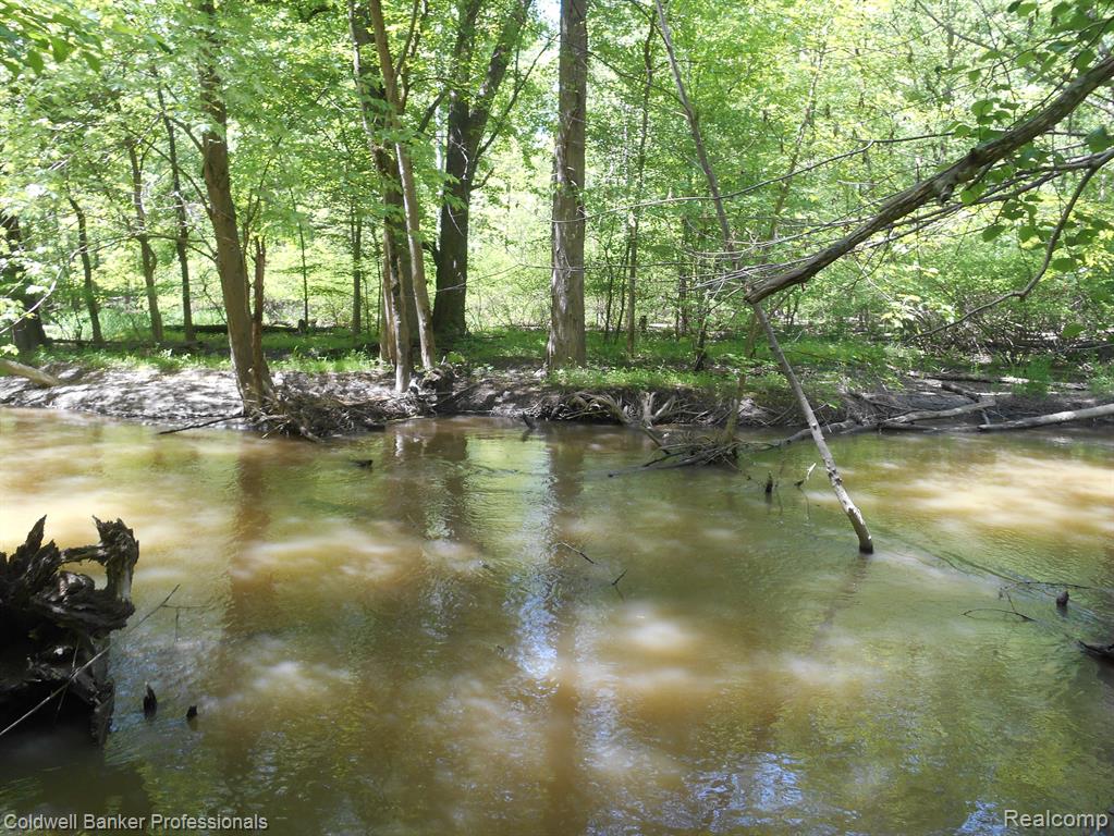 1651 CASTLE Road, North Branch, MI 48461 — Photo 21