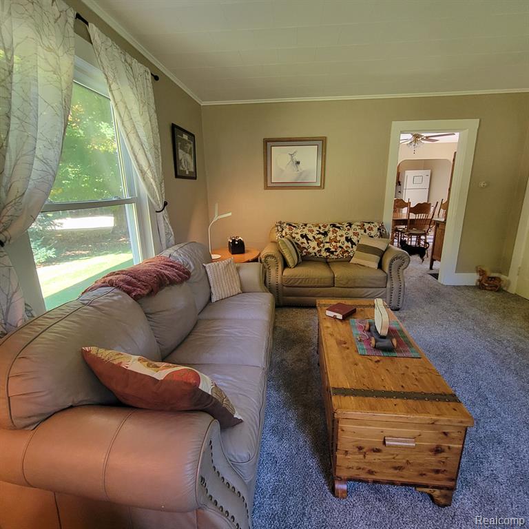 5782 LYONS Road, Imlay City, MI 48444 — Photo 15