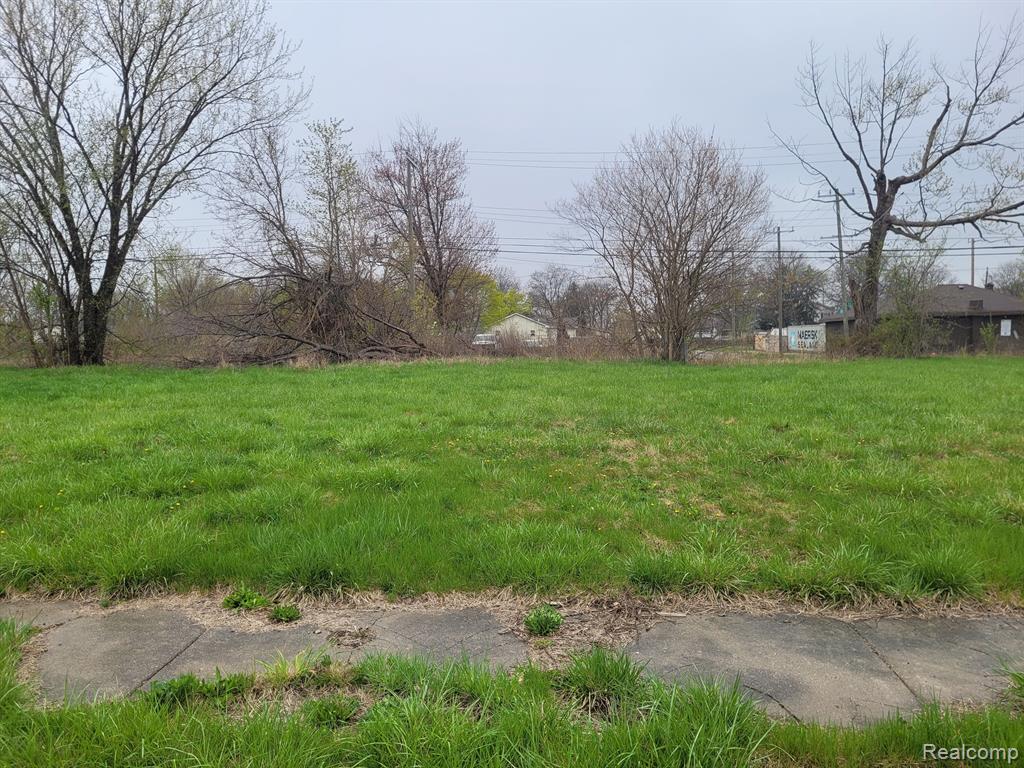 3935 BEACONSFIELD Street, Detroit, MI 48224 — Photo 2